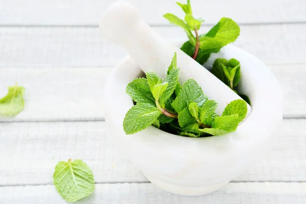 Fresh green mint and mortar — Stock Photo, Image