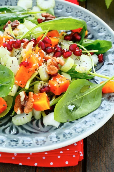 Ensalada fresca con calabaza y apio — Zdjęcie stockowe