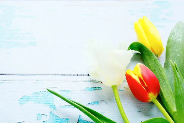 Las flores primaverales - los tulipanes sobre las tablas viejas — Foto de Stock