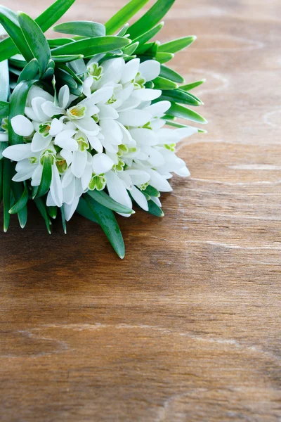 Bras de gouttes de neige sur fond en bois — Photo