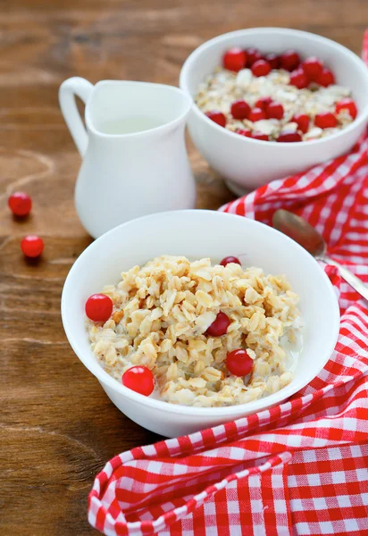 Farinha de aveia com cranberries — Fotografia de Stock