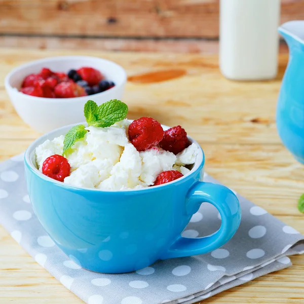 Cottage cheese and ripe berries — Stock Photo, Image