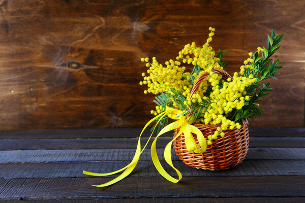 bouquet of spring mimosa