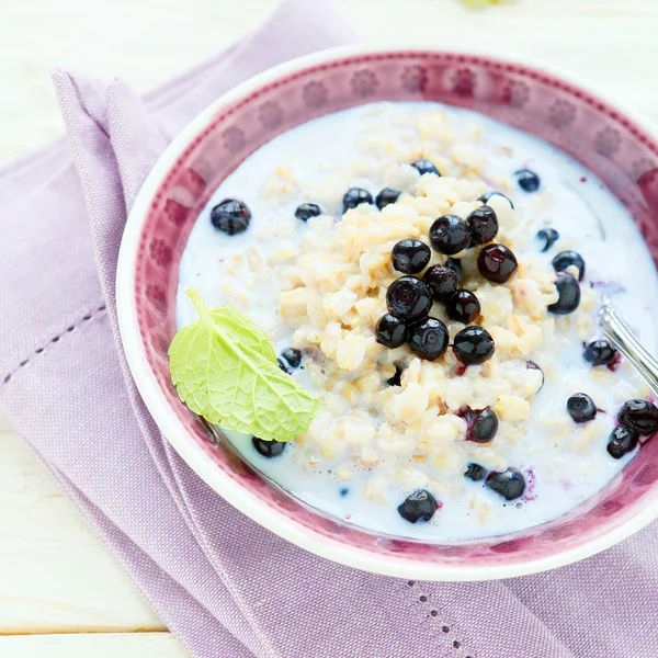 Milk oatmeal with blueberries — Stock Photo, Image