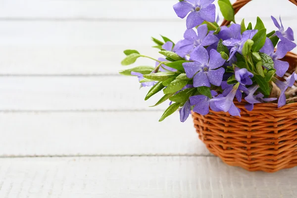 Bos blauwe bloemen in een mand — Stockfoto