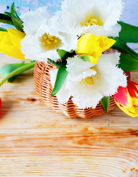 Tulipanes blancos en una cesta —  Fotos de Stock