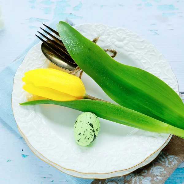 Weiße Teller und gelbe Tulpe — Stockfoto