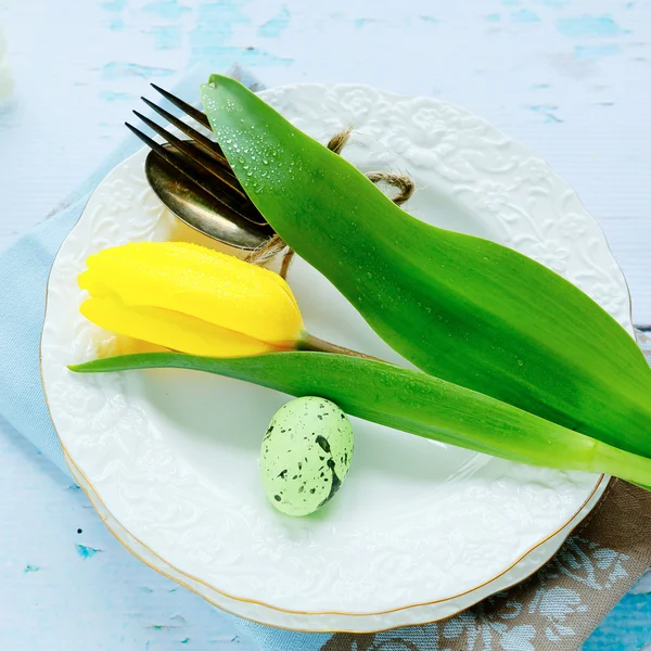 Placas blancas y tulipán amarillo —  Fotos de Stock