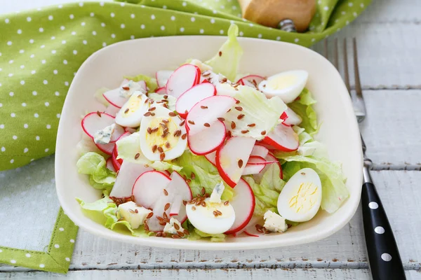 Ensalada de primavera con rábanos — Foto de Stock