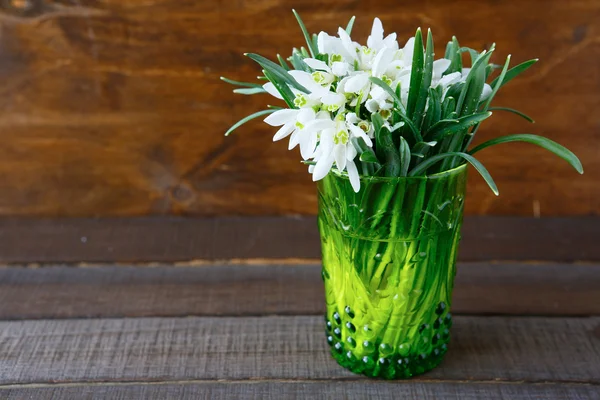 Білі квіти проліски — стокове фото