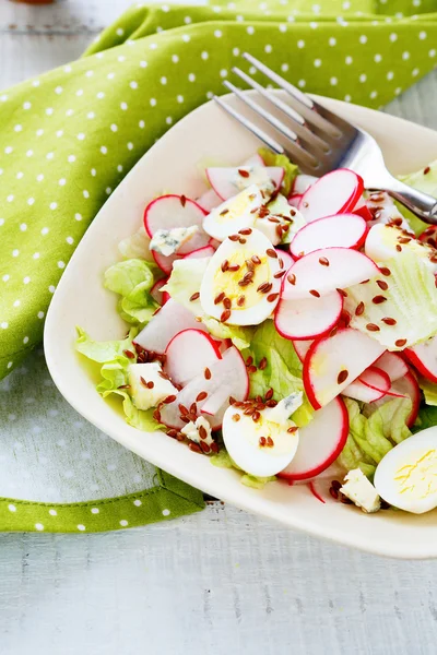 Salad with radish and blue cheese — Stock Photo, Image