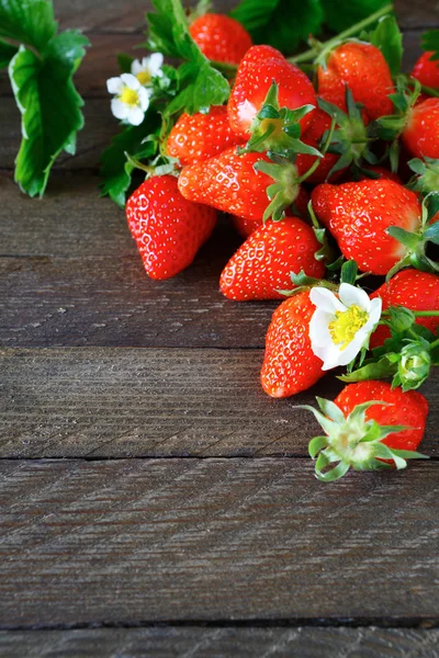 잘 익은 딸기와 배경 — 스톡 사진