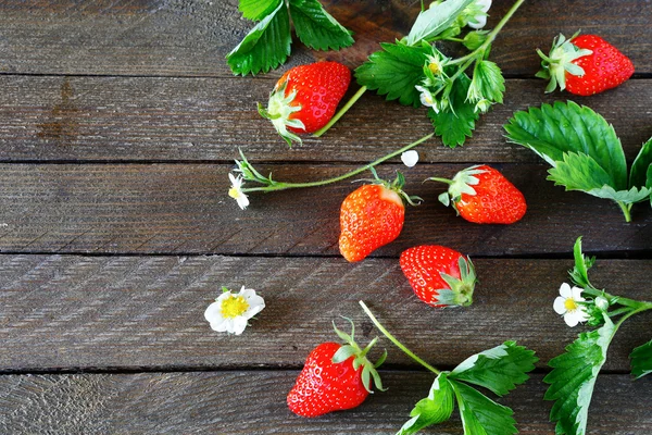 Rijpe aardbeien op de planken — Stockfoto