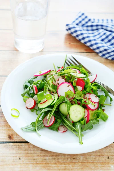 Krispig sallad med gurka och rättika — Stockfoto