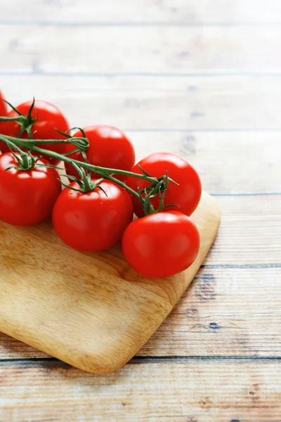 Свежие помидоры на ветке — стоковое фото
