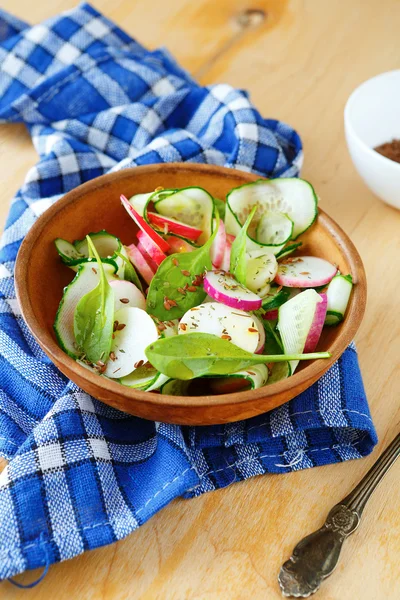 Salada de rabanetes e pepinos — Fotografia de Stock