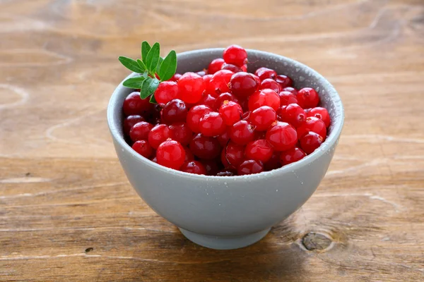 Preiselbeeren in einer kleinen Schüssel — Stockfoto