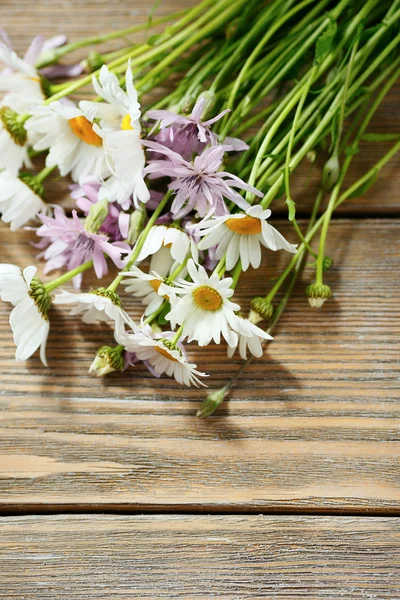 Camomile on wooden background — Stock Photo, Image