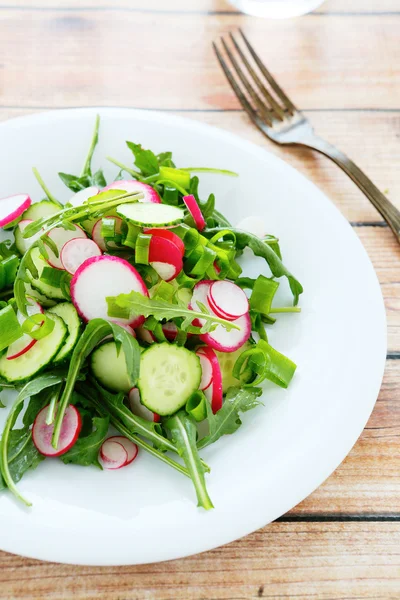 Rucola, komkommer en radijs in een salade — Stockfoto