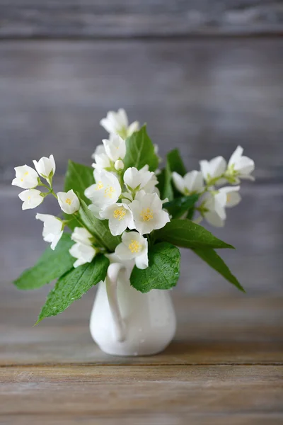 Strauß Jasmin — Stockfoto