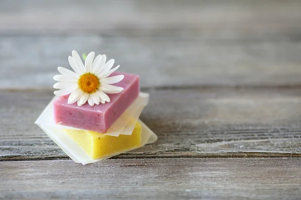 Twee stukken zeep, kamille — Stockfoto