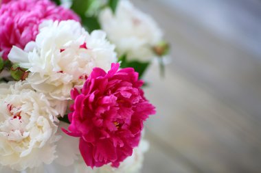 Kırmızı ve beyaz Şakayık yaprakları portre