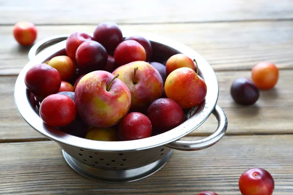 Fresh plums in a colander — Stock Photo, Image
