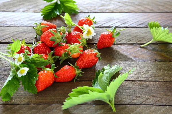 Bayas de verano - fresas —  Fotos de Stock