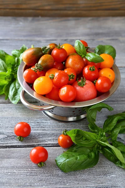 Fresh tomatoes and green basil leaves — Stock Photo, Image