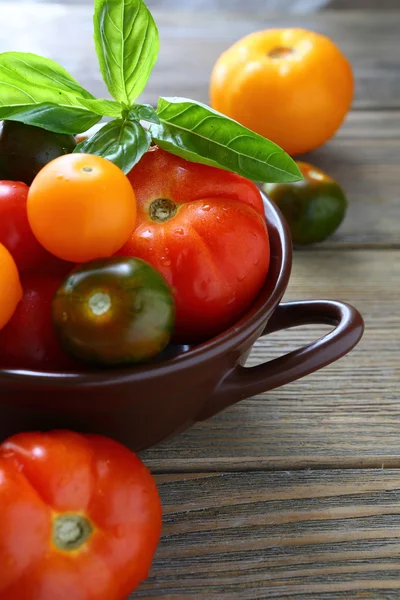 Tomates coloridos em uma tigela — Fotografia de Stock