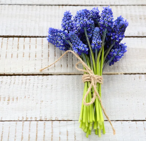 Beyaz ahşap zemin üzerinde mavi çiçekler — Stok fotoğraf