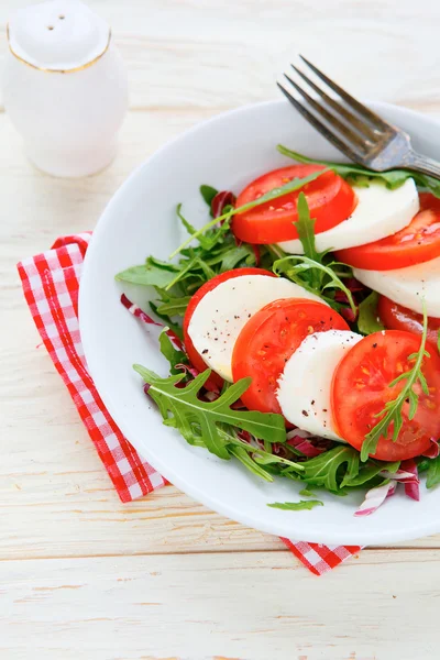 Salada Caprese clássica em uma chapa — Fotografia de Stock