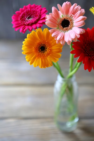 Schöner Strauß bunter Gerbera — Stockfoto