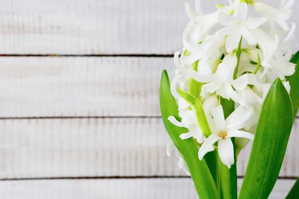 Primavera flor blanca sobre fondo de madera — Foto de Stock