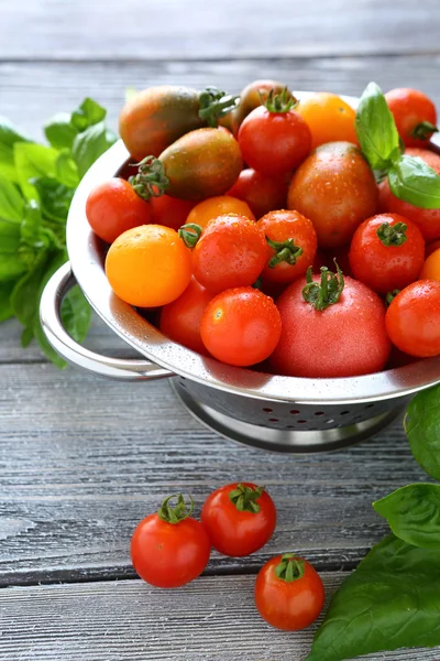 Fresh and juicy tomatoes in a colander — Stock Photo, Image