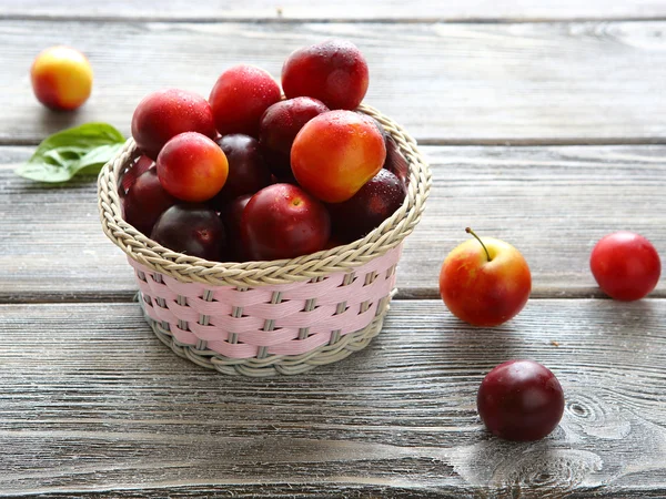 Full basket of summer plums — Stock Photo, Image