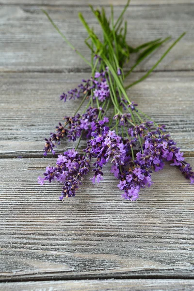 Beautiful lavender flowers on the boards — Stock Photo, Image