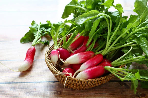 Young fresh radishes — Stock Photo, Image