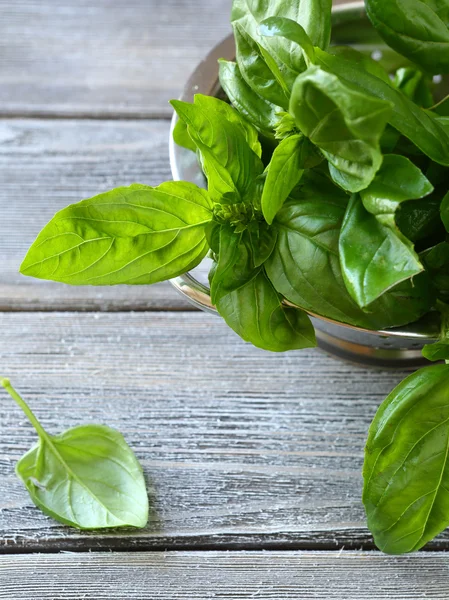 Fresh basil leaves on the table — Stock Photo, Image