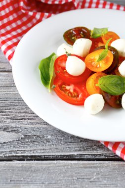 mozzarella ve fesleğen salata domates