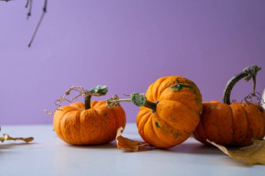 Mor arkaplanda üç turuncu balkabağı sonbahar konsepti kopyalama alanı