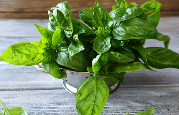 Basilicum bladeren in vergiet op tafel — Stockfoto