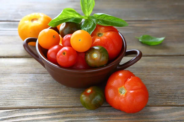 Ripe tomatoes in a bowl and basil — Stock Photo, Image
