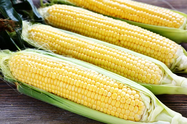 Espigas maduras de maíz en las hojas — Foto de Stock