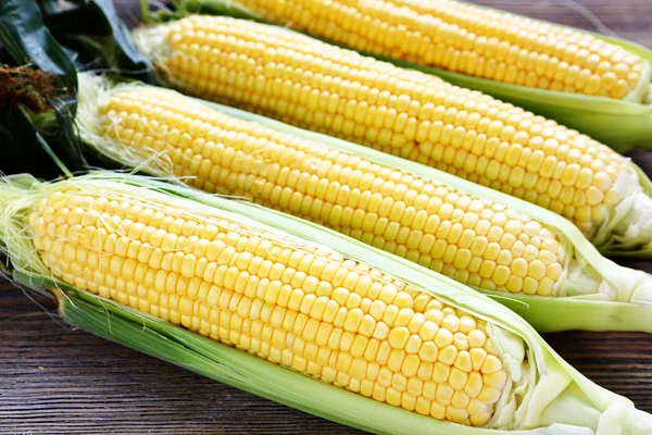 Ripe ears of corn in the leaves — Stock Photo, Image