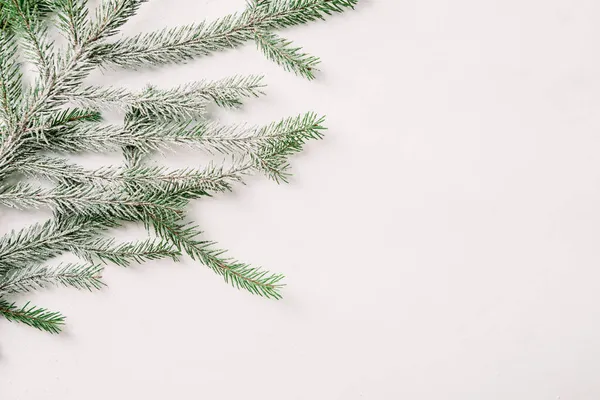 Groene Tak Van Kerstboom Witte Oppervlakte Vakantie Concept — Stockfoto