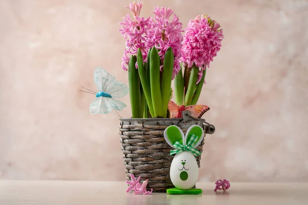 Ovos Engraçados Coelho Páscoa Flores Conceito Primavera Pote — Fotografia de Stock