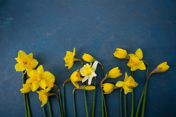 Overhead Ansicht Der Gelben Frühlingsblumen Narzissen Auf Grüner Oberfläche Kopierraum — Stockfoto