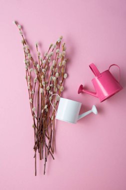 Pussy willow branches and garden tin on pacific pink surface