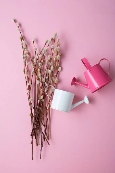 Pussy Willow Branches Garden Tin Pacific Pink Surface — Foto Stock